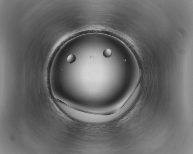 X0000110741326200906151055