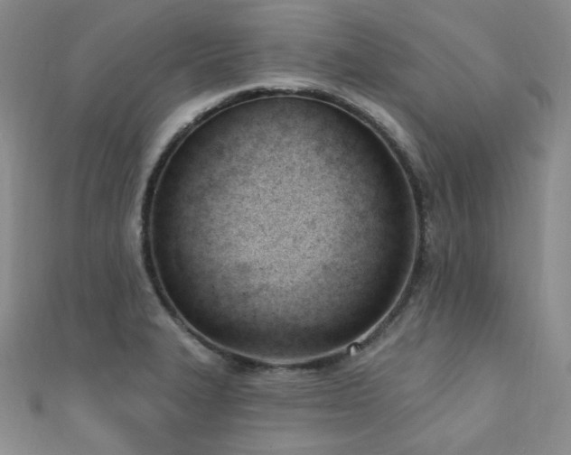 X0000110741327200906151055