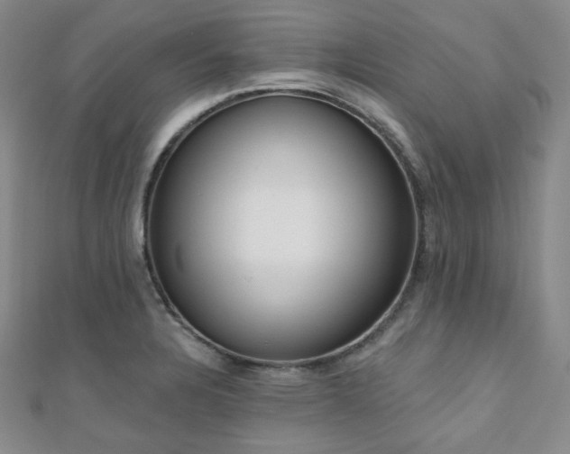 X0000110741328200906151055