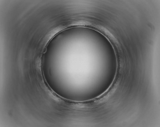 X0000110741329200906151055