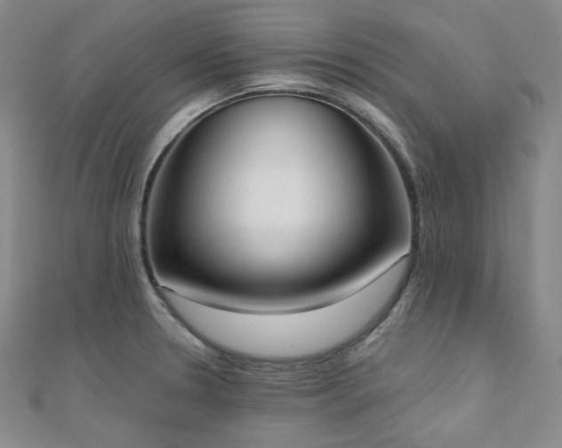 X0000110741330200906151055
