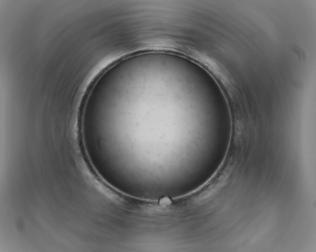 X0000110741331200906151055