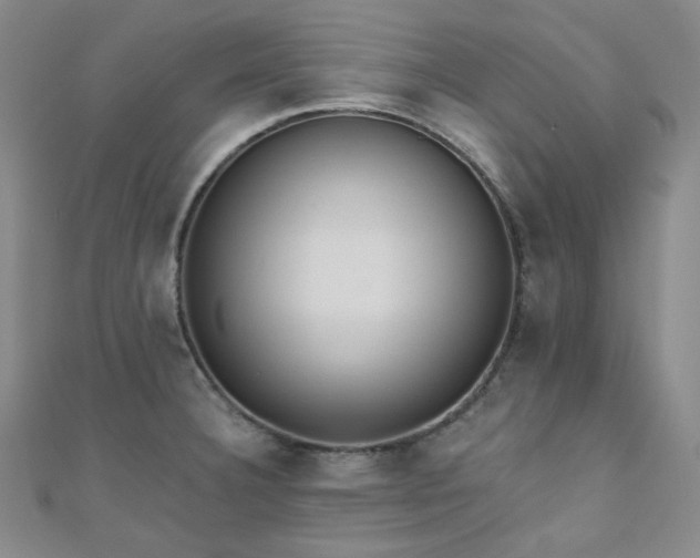 X0000110741332200906151055