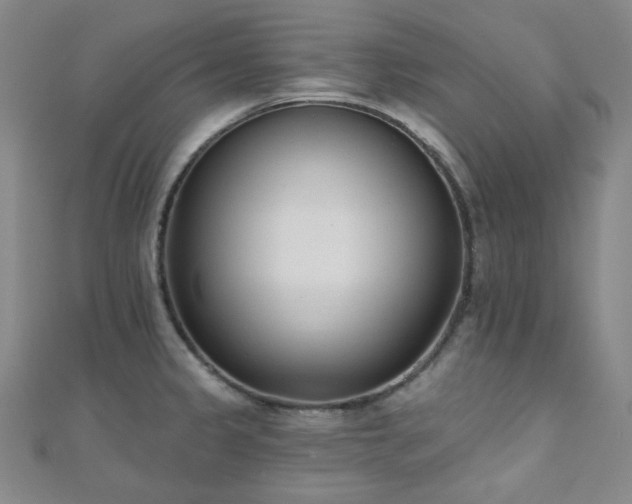 X0000110741333200906151055