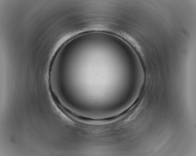 X0000110741334200906151055