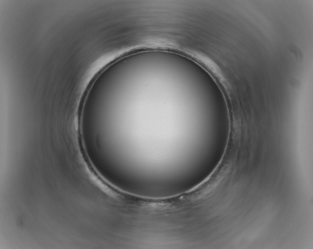 X0000110741335200906151055