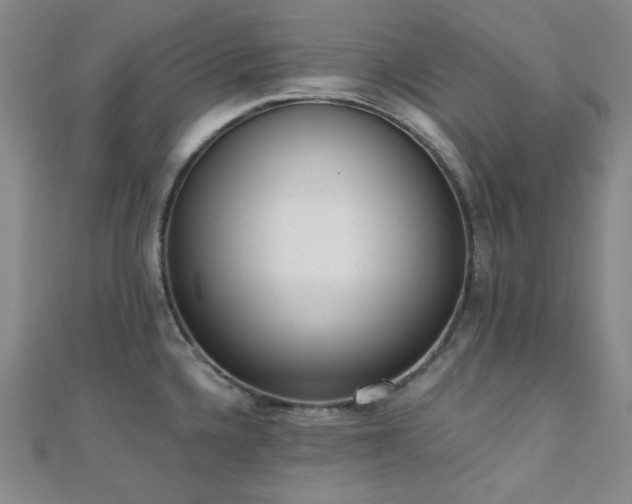 X0000110741336200906151055