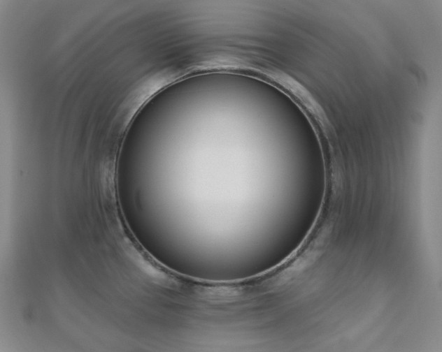 X0000110741337200906151055