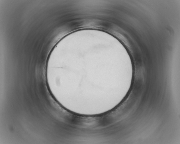 X0000110741338200906151055