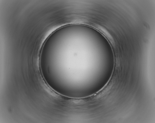 X0000110741340200906151055
