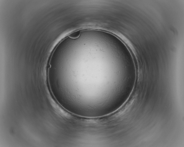 X0000110741341200906151055