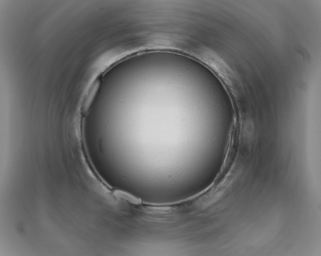 X0000110741342200906151055