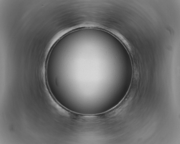 X0000110741343200906151055