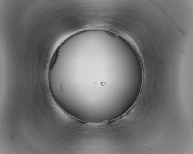 X0000110741344200906151055