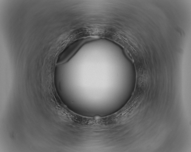 X0000110741345200906151055
