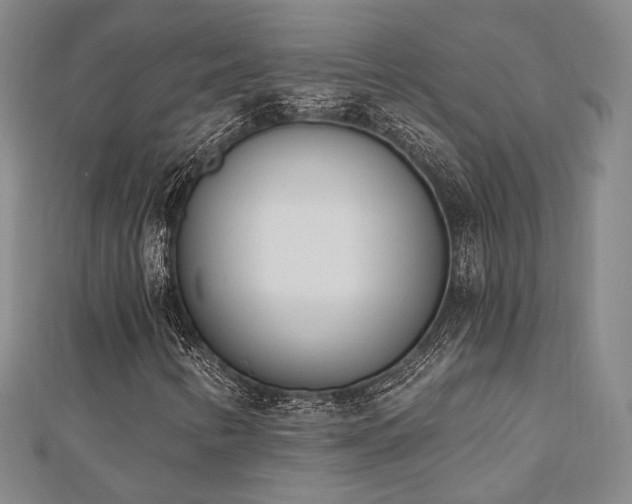 X0000110741346200906151055