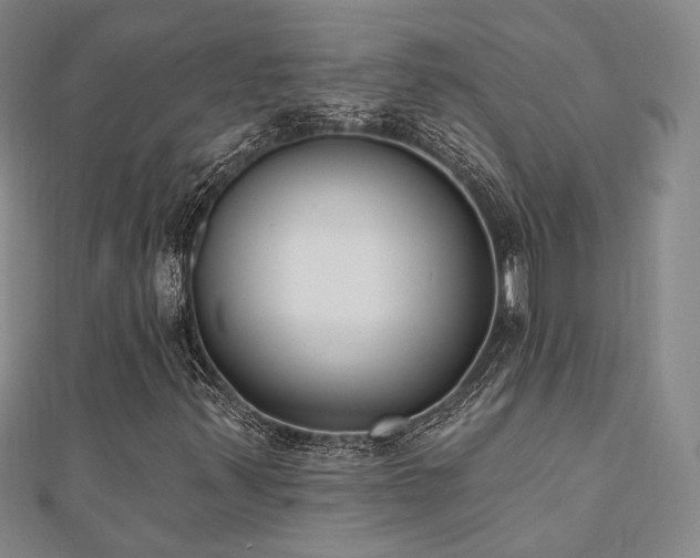 X0000110741347200906151055