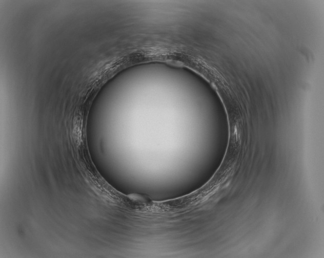 X0000110741348200906151055