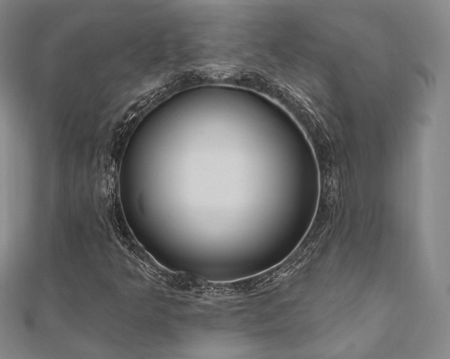 X0000110741349200906151055
