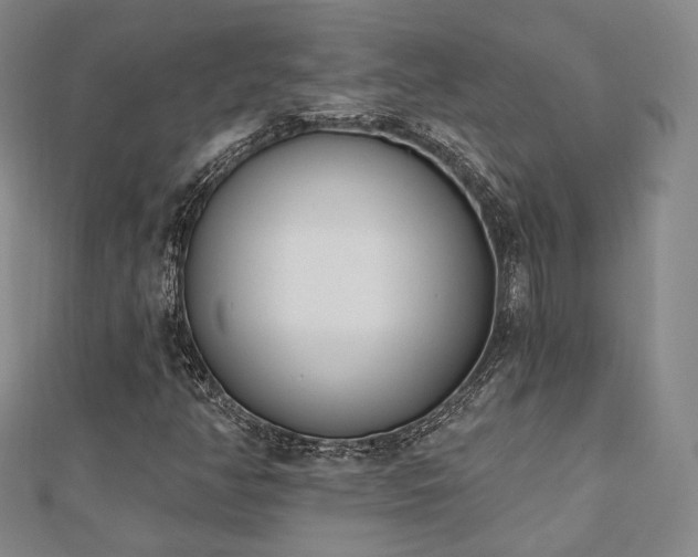 X0000110741350200906151055