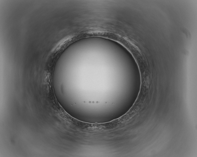 X0000110741351200906151055