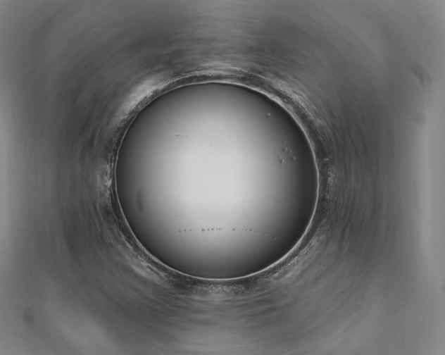 X0000110741355200906151055