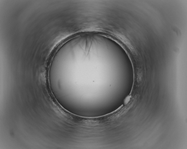 X0000110741356200906151055