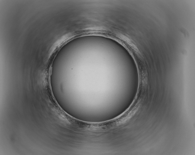 X0000110741357200906151055