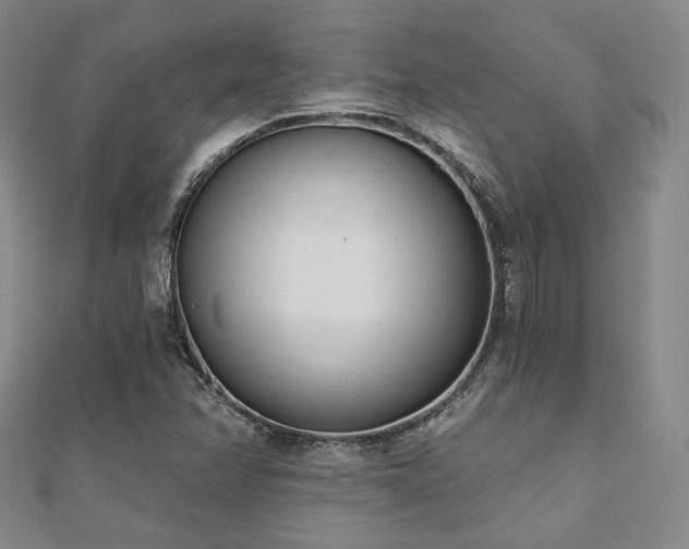 X0000110741358200906151055