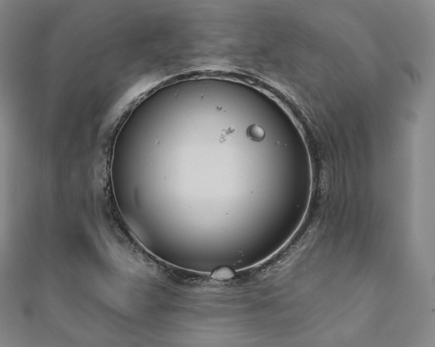 X0000110741359200906151055