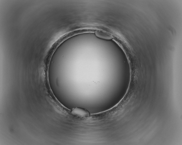 X0000110741360200906151055
