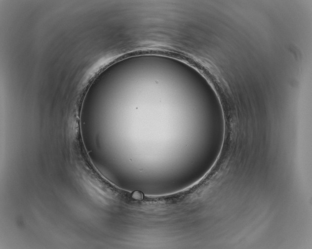 X0000110741363200906151055