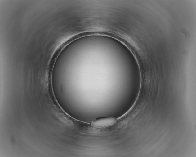 X0000110741364200906151055