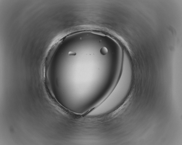 X0000110741365200906151055