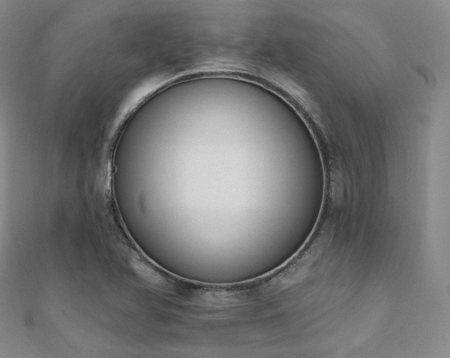 X0000110741366200906151055