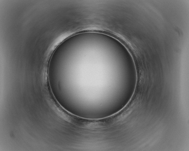 X0000110741367200906151055