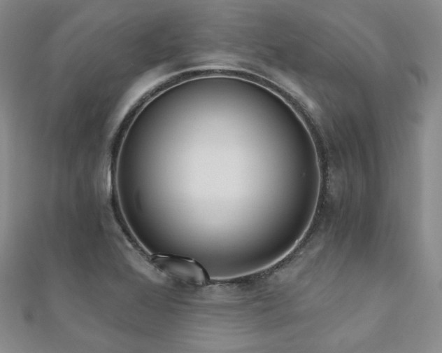 X0000110741368200906151055