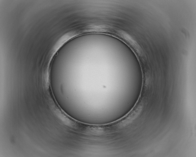 X0000110741370200906151054