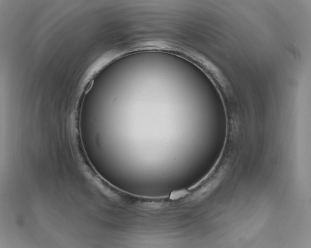 X0000110741373200906151054