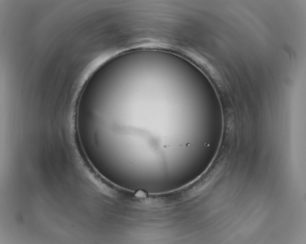 X0000110741375200906151054