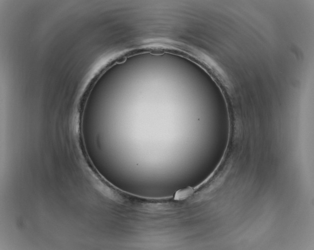 X0000110741376200906151054