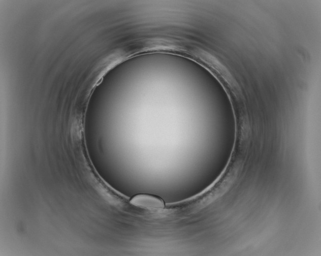 X0000110741377200906151054