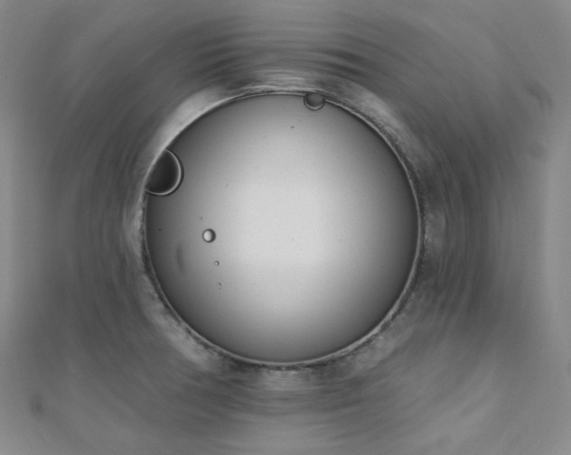 X0000110741378200906151054