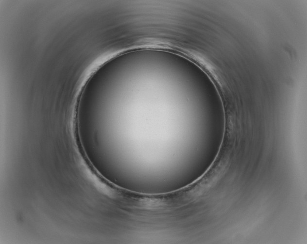 X0000110741379200906151054
