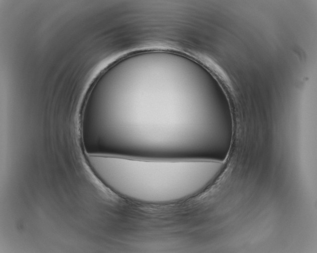 X0000110741380200906151054