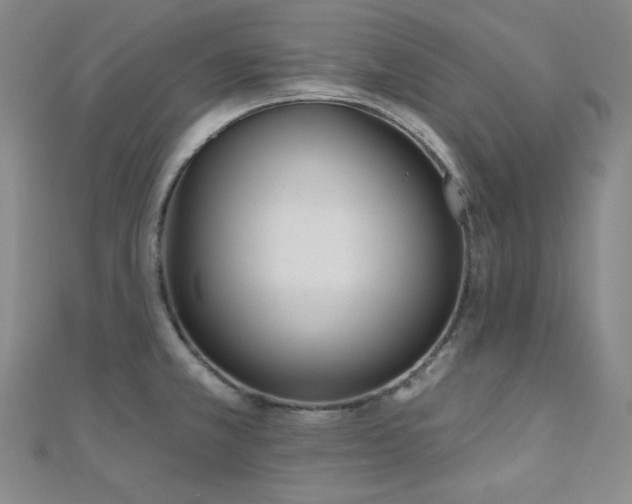 X0000110741381200906151054