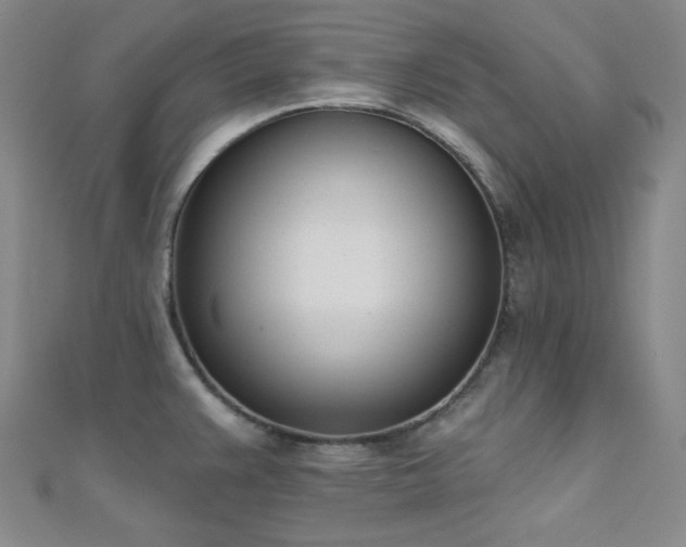X0000110741383200906151054
