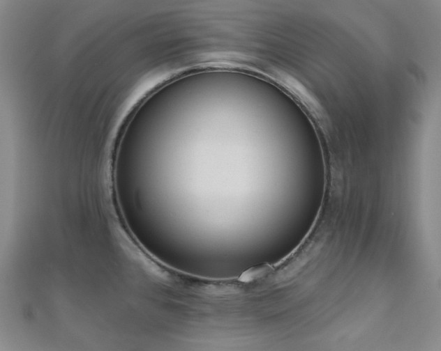 X0000110741384200906151054