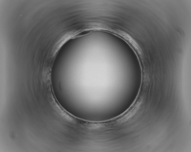 X0000110741385200906151054