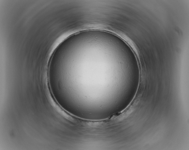 X0000110741389200906151054